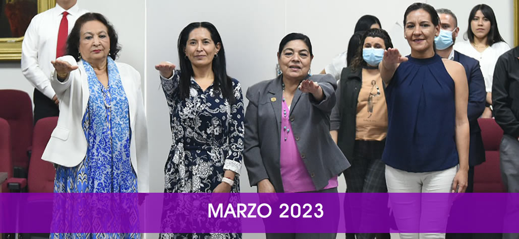 imagen que muestra a los diputados integrantes de la directiva del mes de marzo de 2023-abre en una nueva pestaña