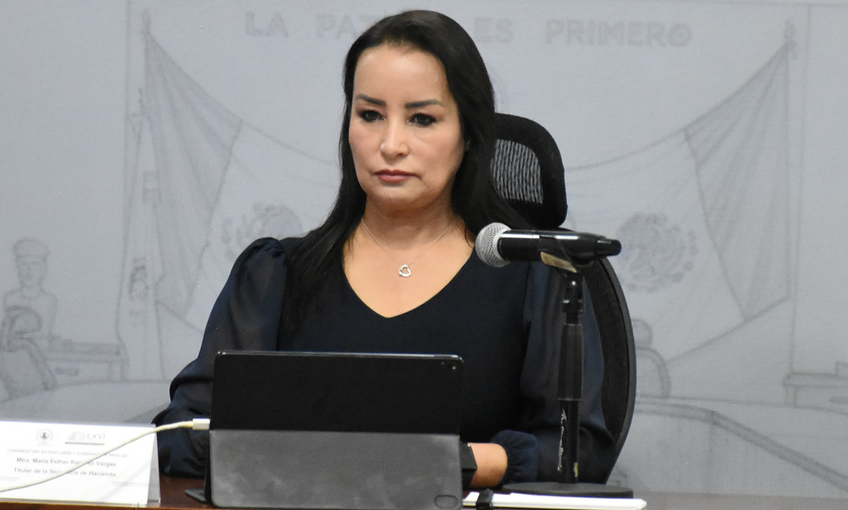 imagen que te permite ver a los Diputados en Sesión